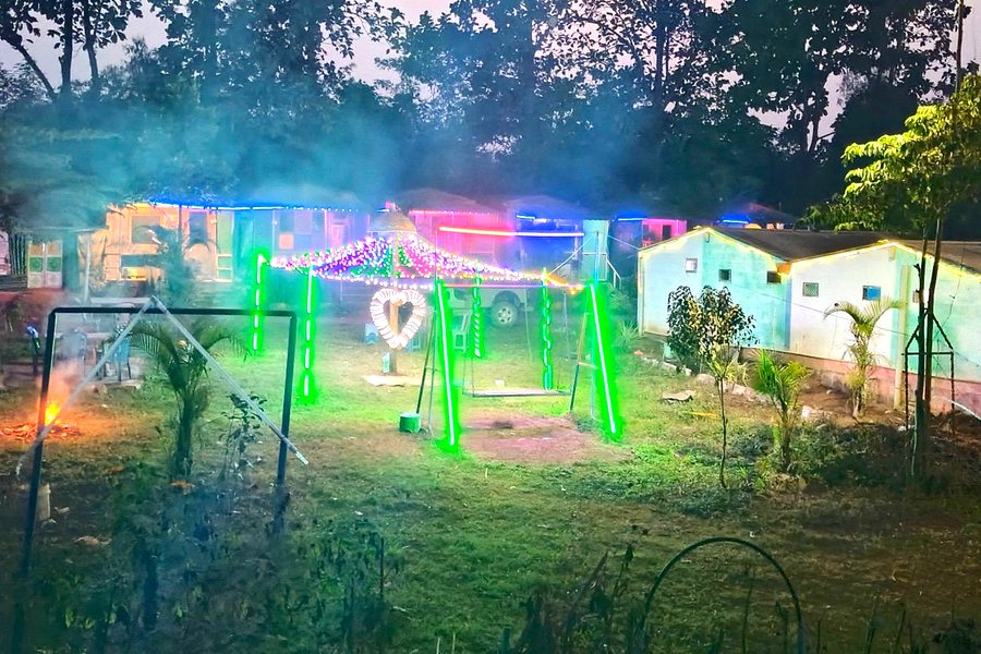 Fairy lights and bonfire on the lawn